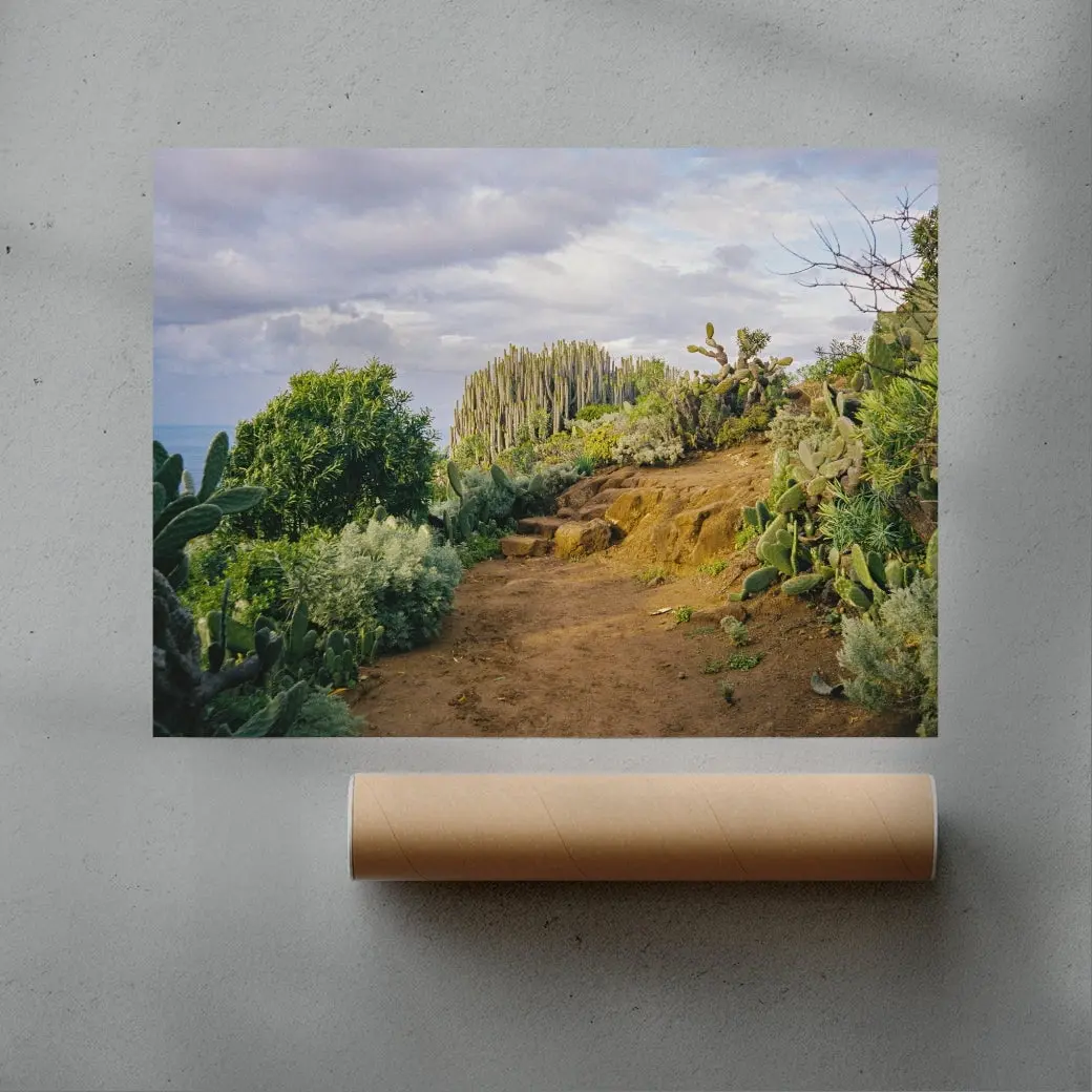 Cactus Path