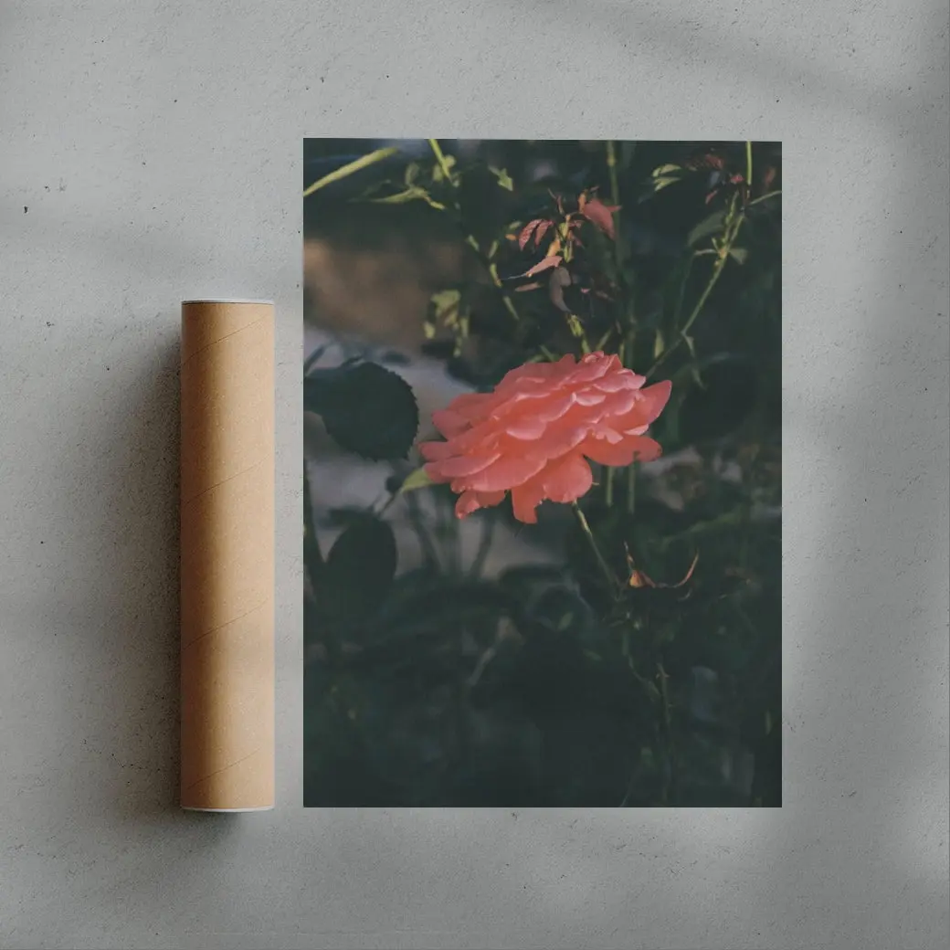 Thorn