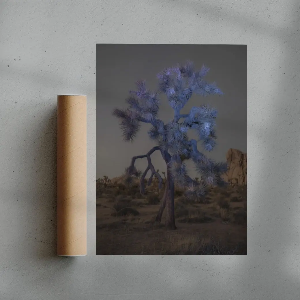 Joshua Tree