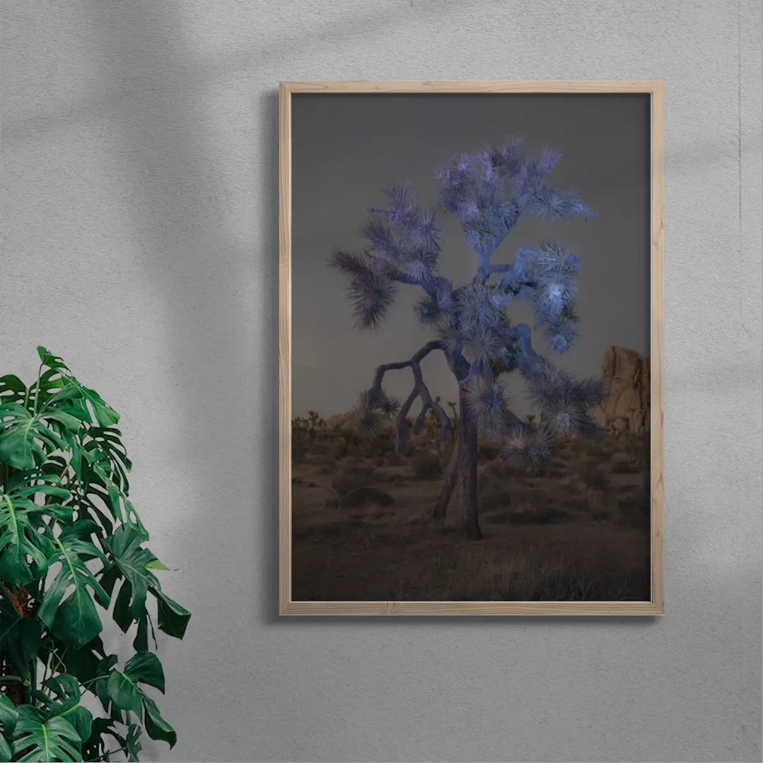 Joshua Tree
