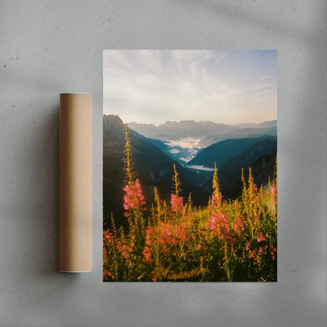 Wildflower