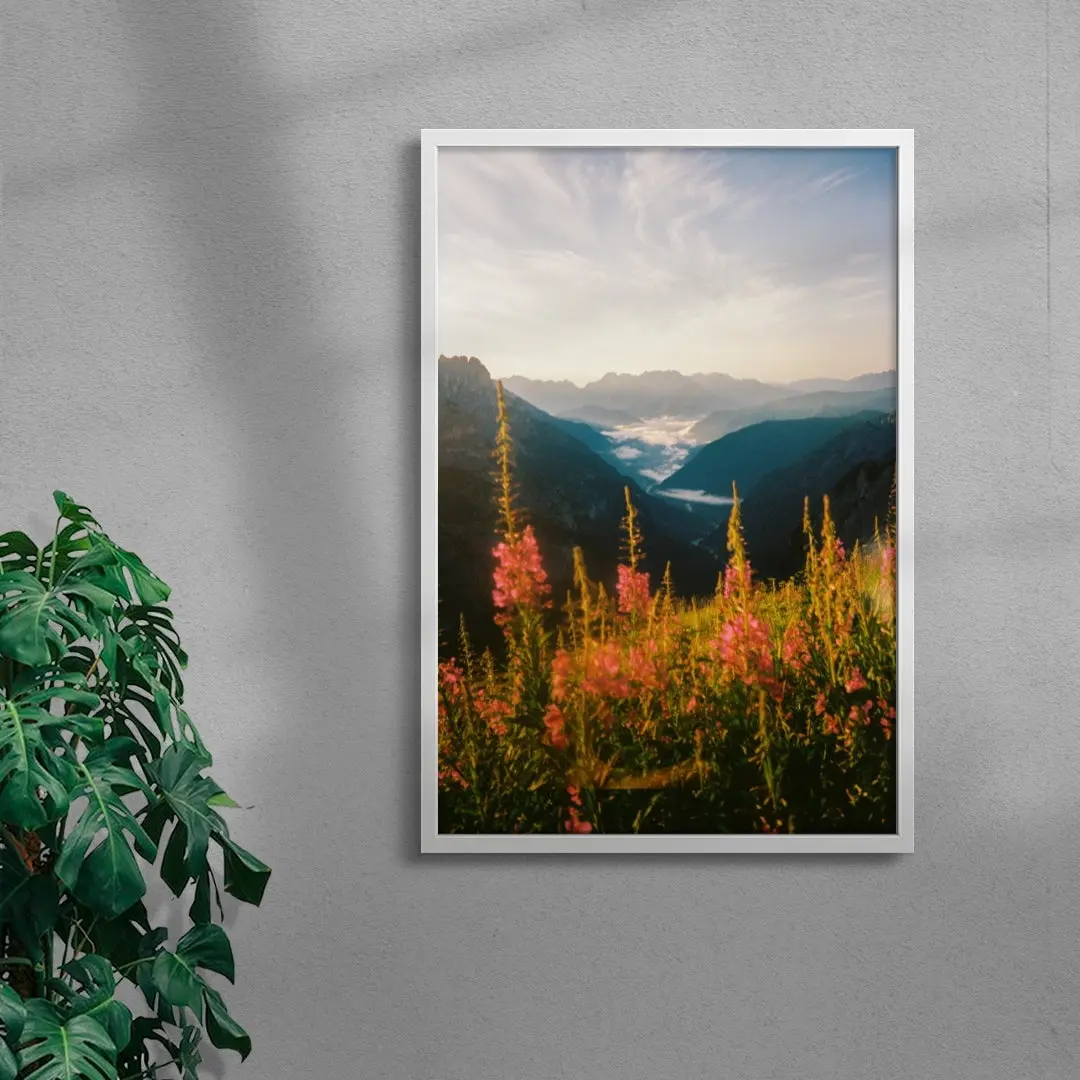 Wildflower