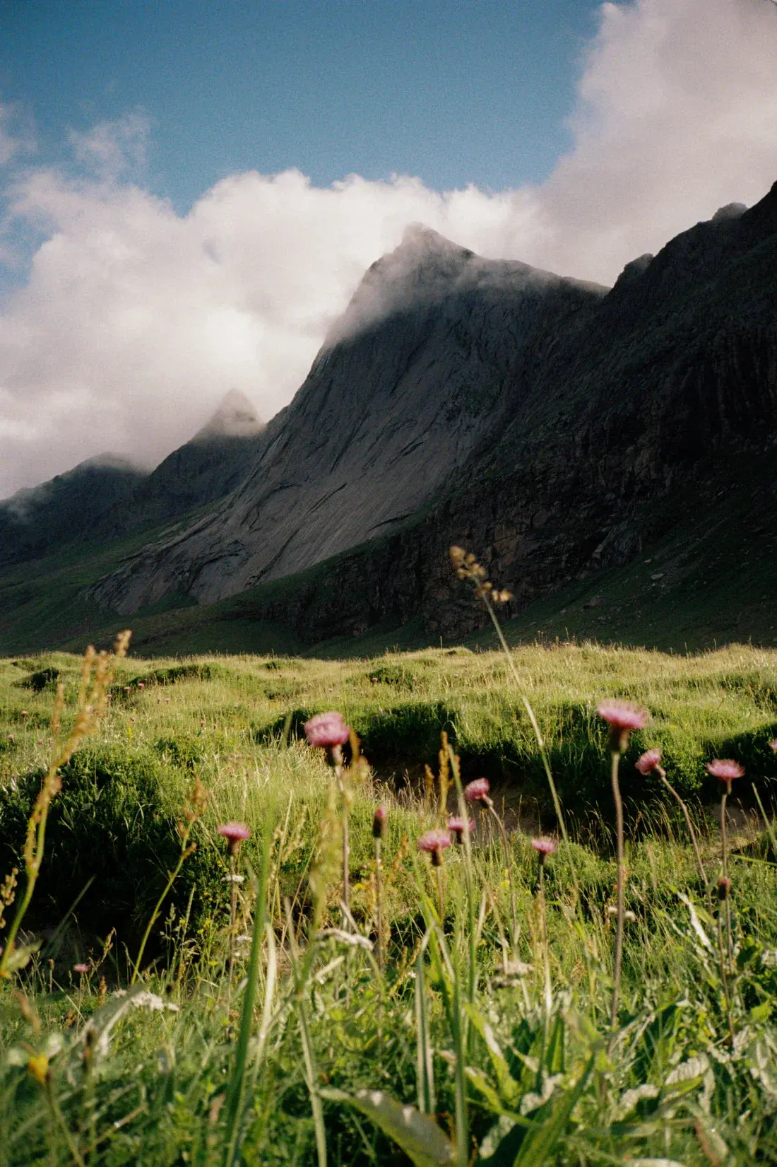 Misty Mountain