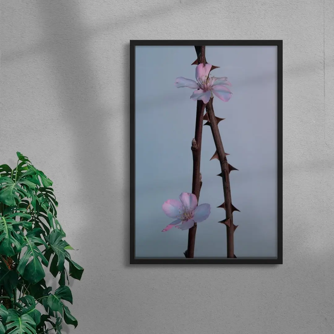 Pink thorns