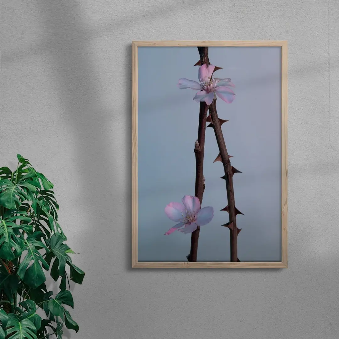 Pink thorns