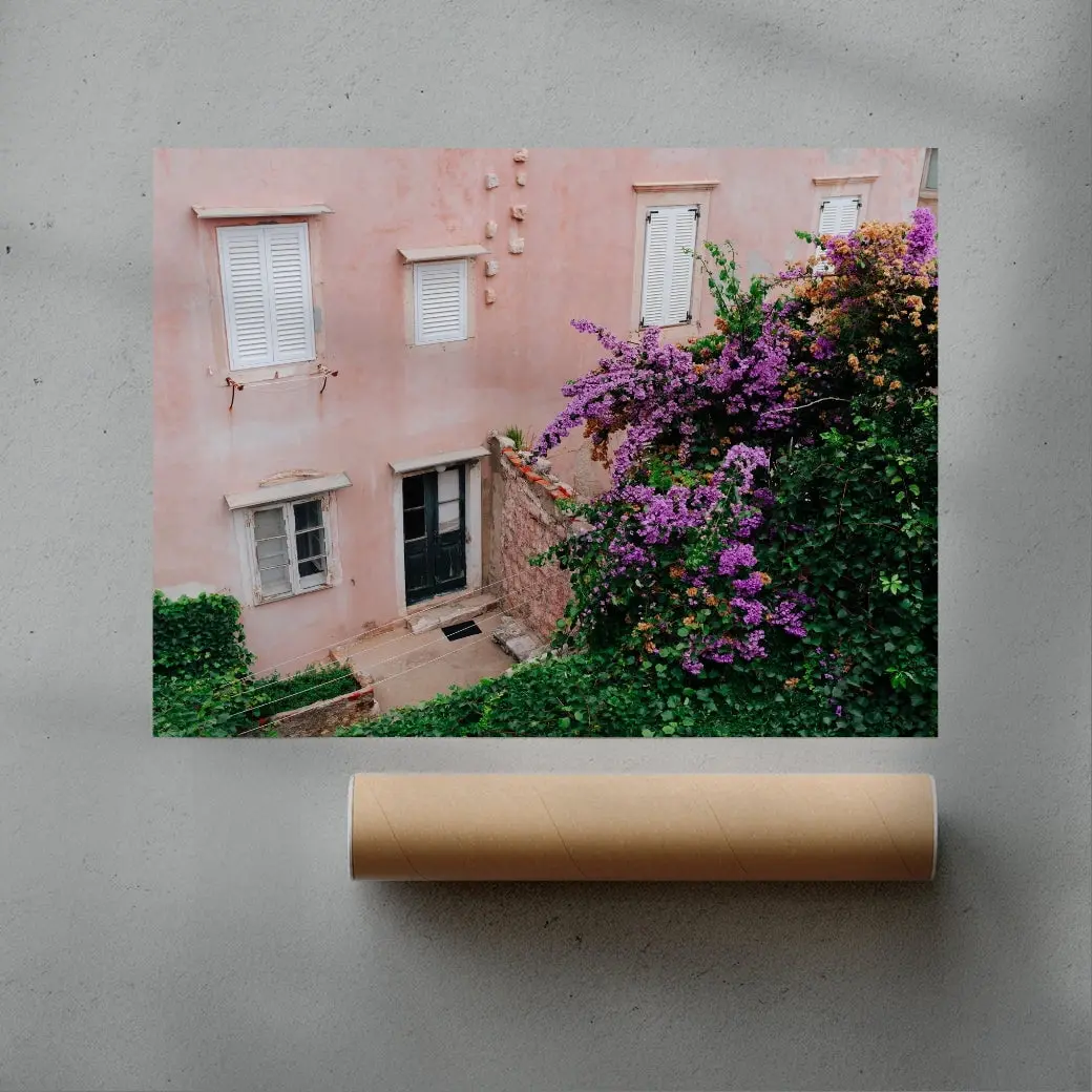 41934-pink-wall-bougainvillea-3.webp Pink Wall Bougainvillea