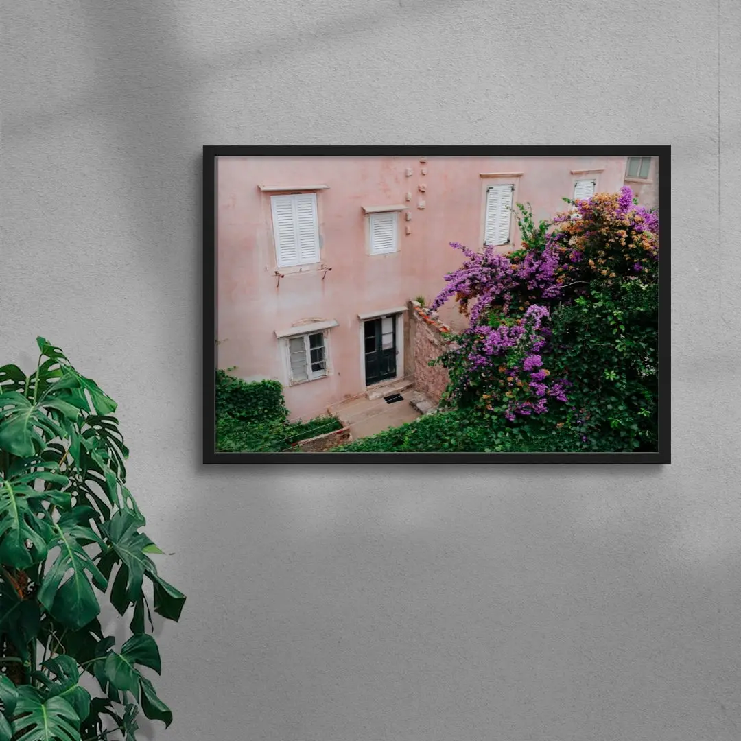 41934-pink-wall-bougainvillea-4.webp Pink Wall Bougainvillea
