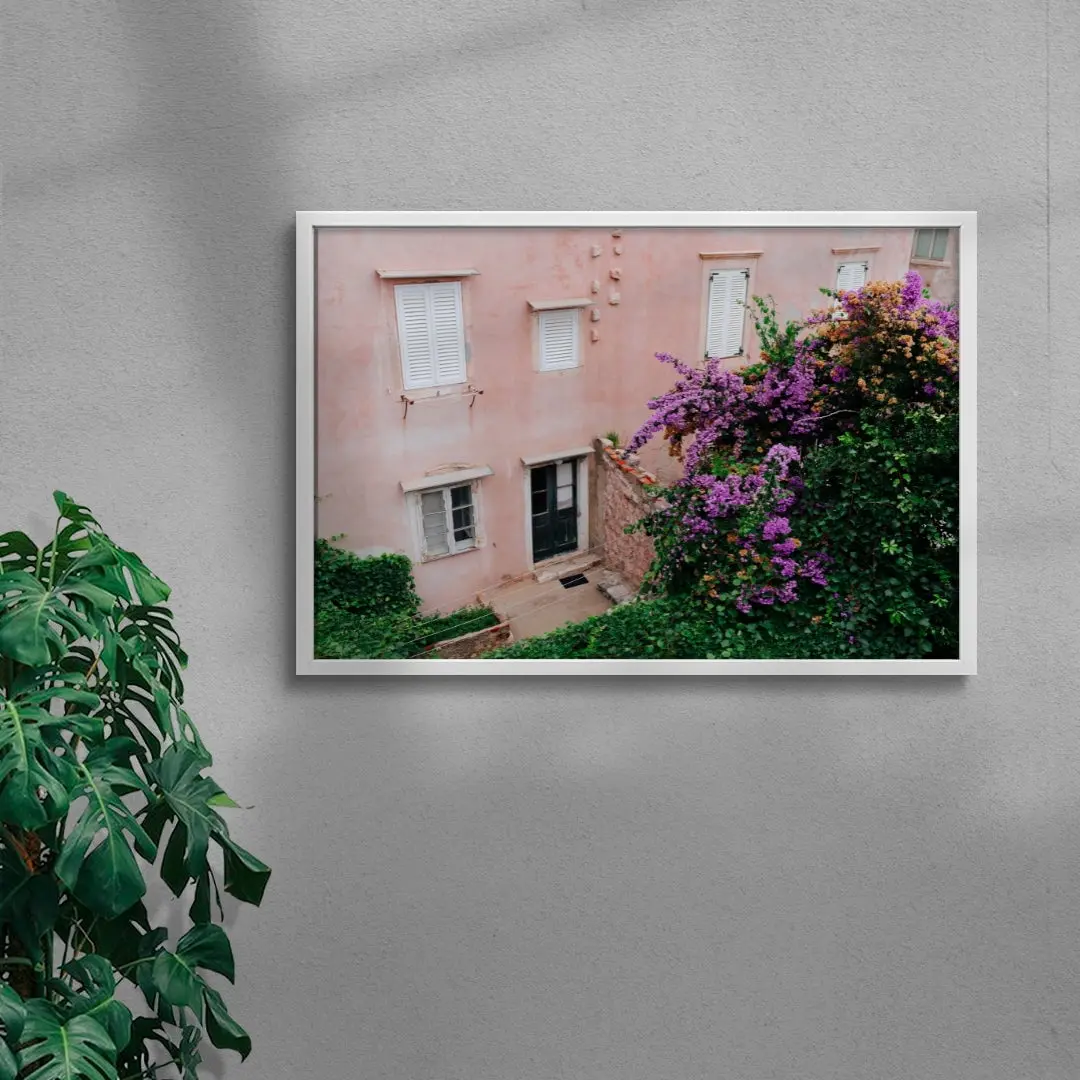 41934-pink-wall-bougainvillea-5.webp Pink Wall Bougainvillea