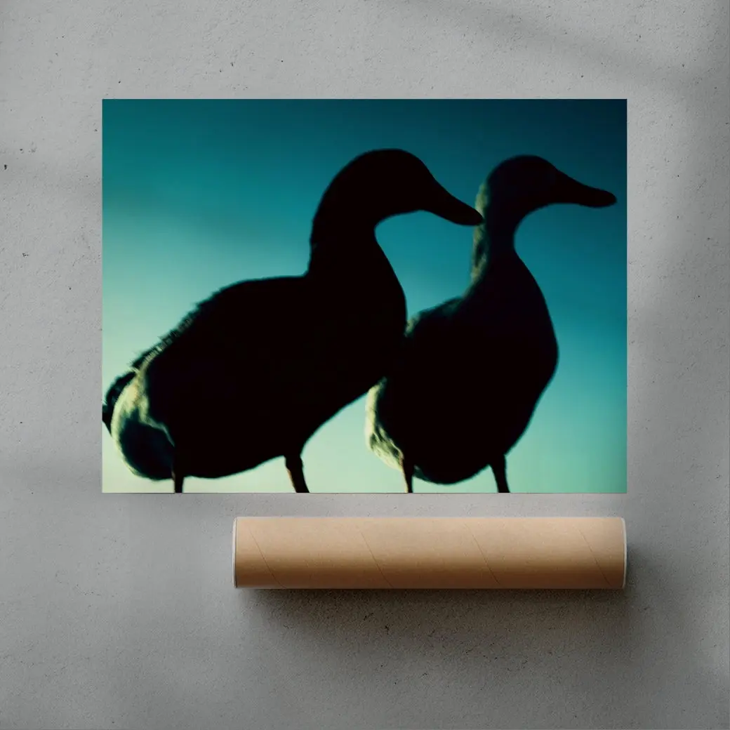 Duck Pair