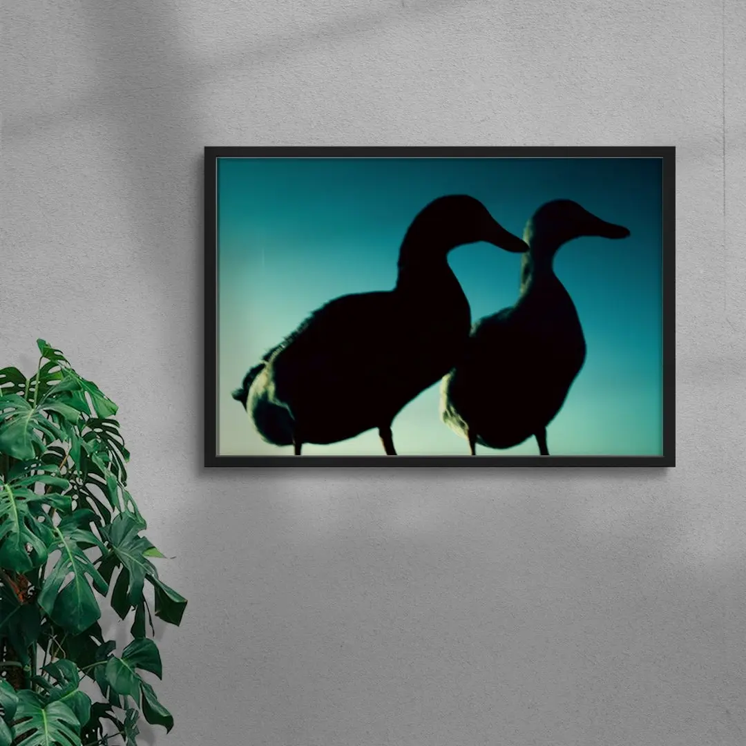 Duck Pair