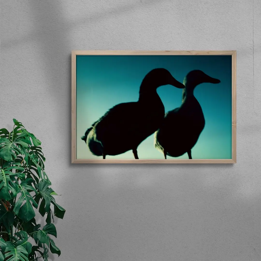 Duck Pair
