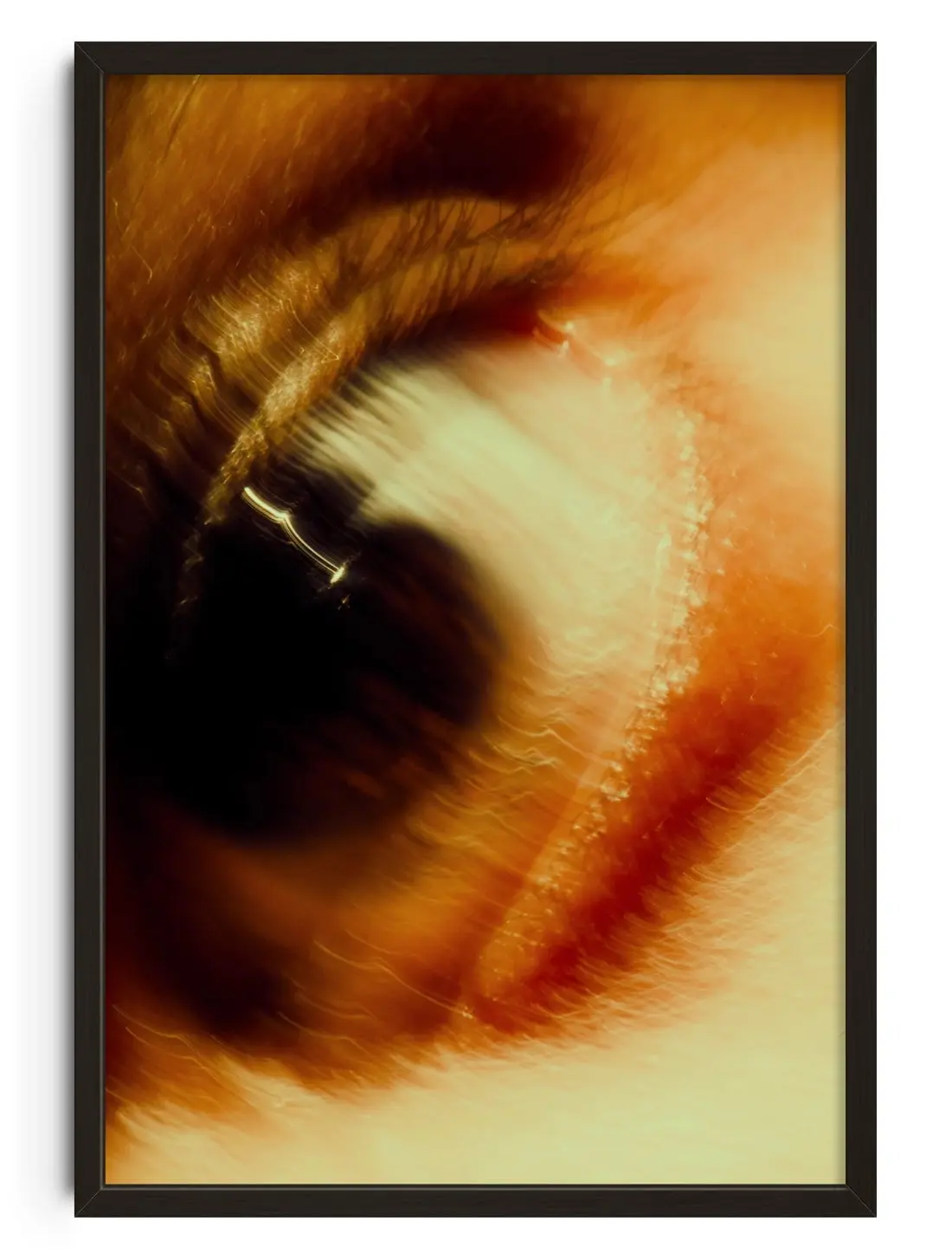 Shutter speed