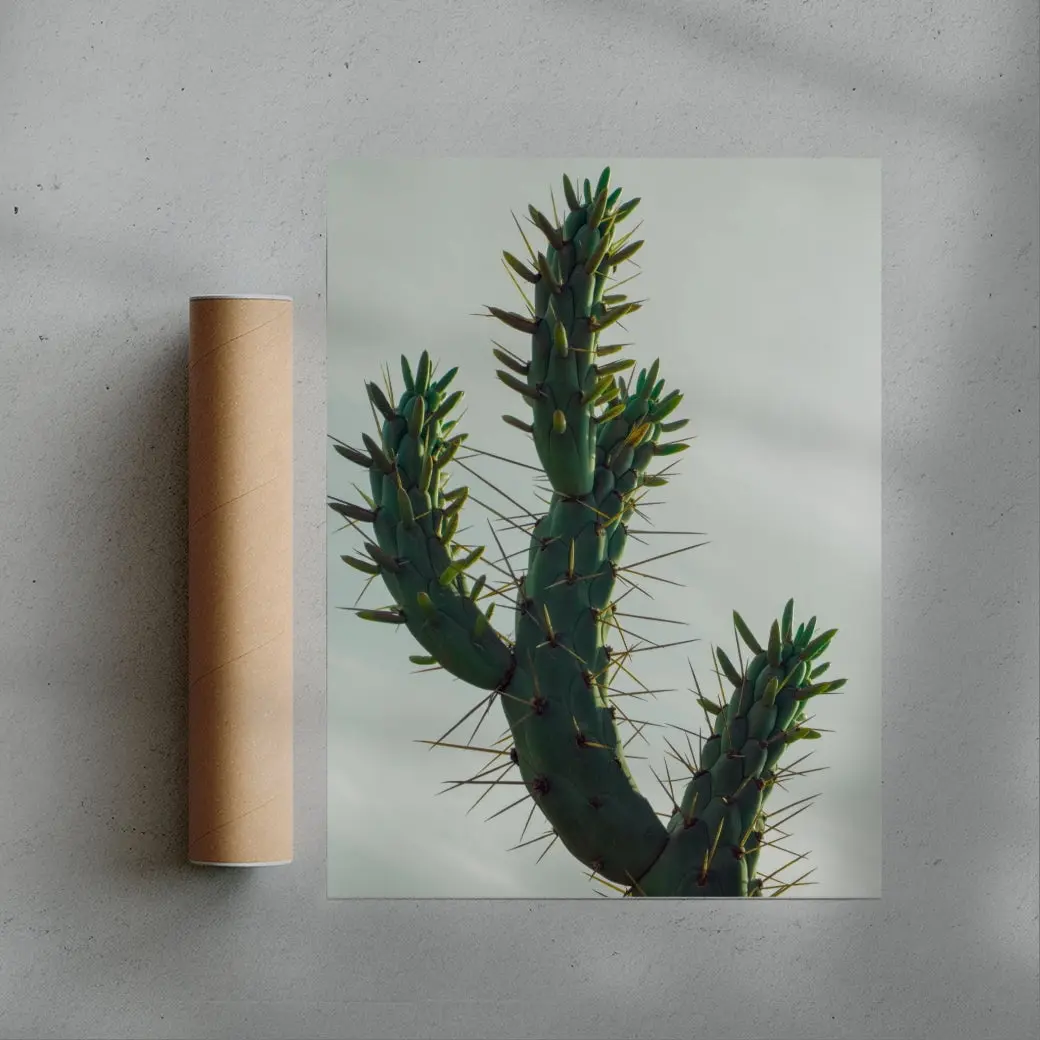 Spines