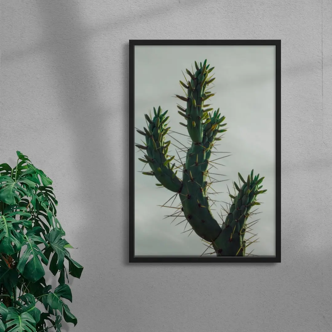 Spines