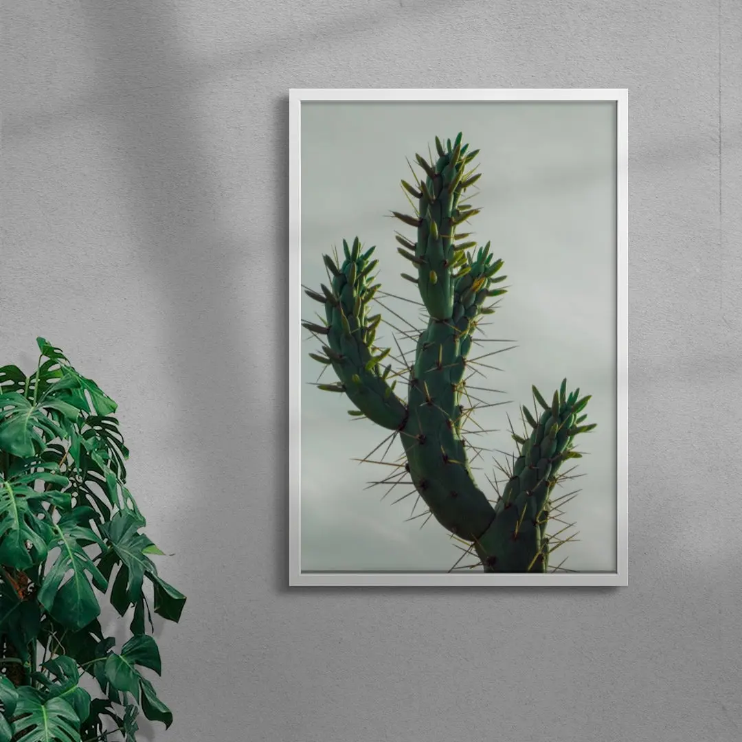 Spines