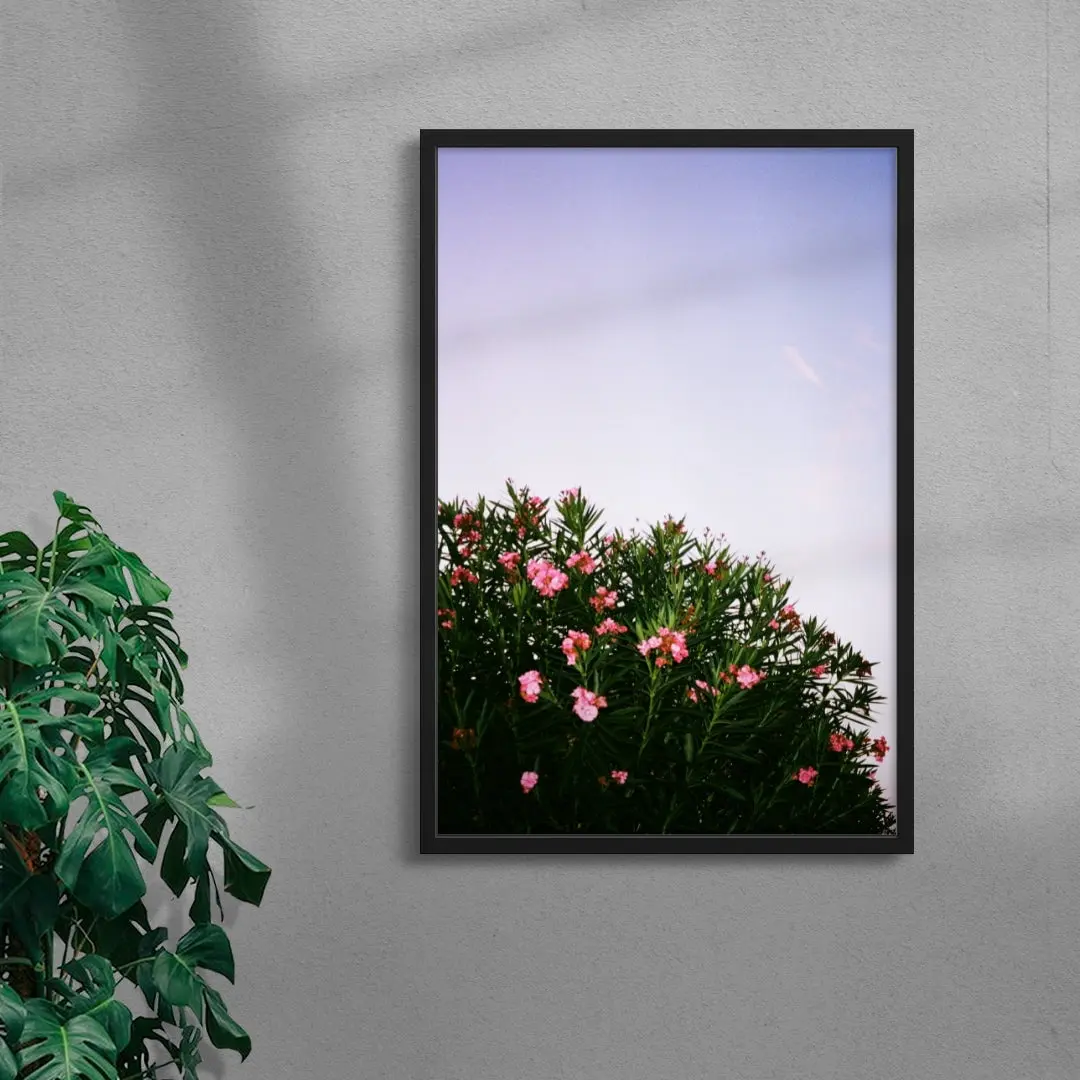 Pink Blossoms