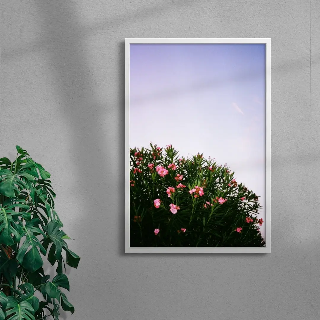 Pink Blossoms
