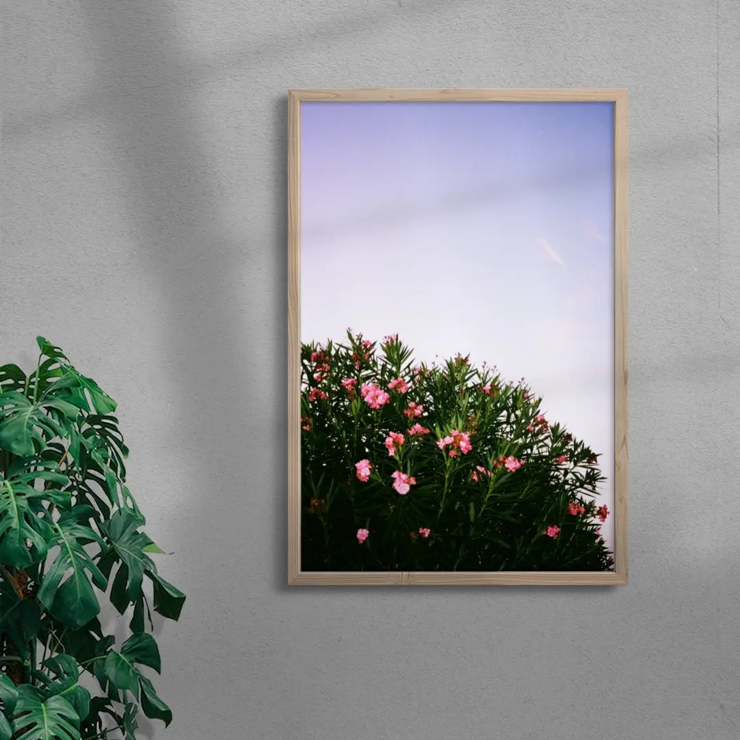 Pink Blossoms