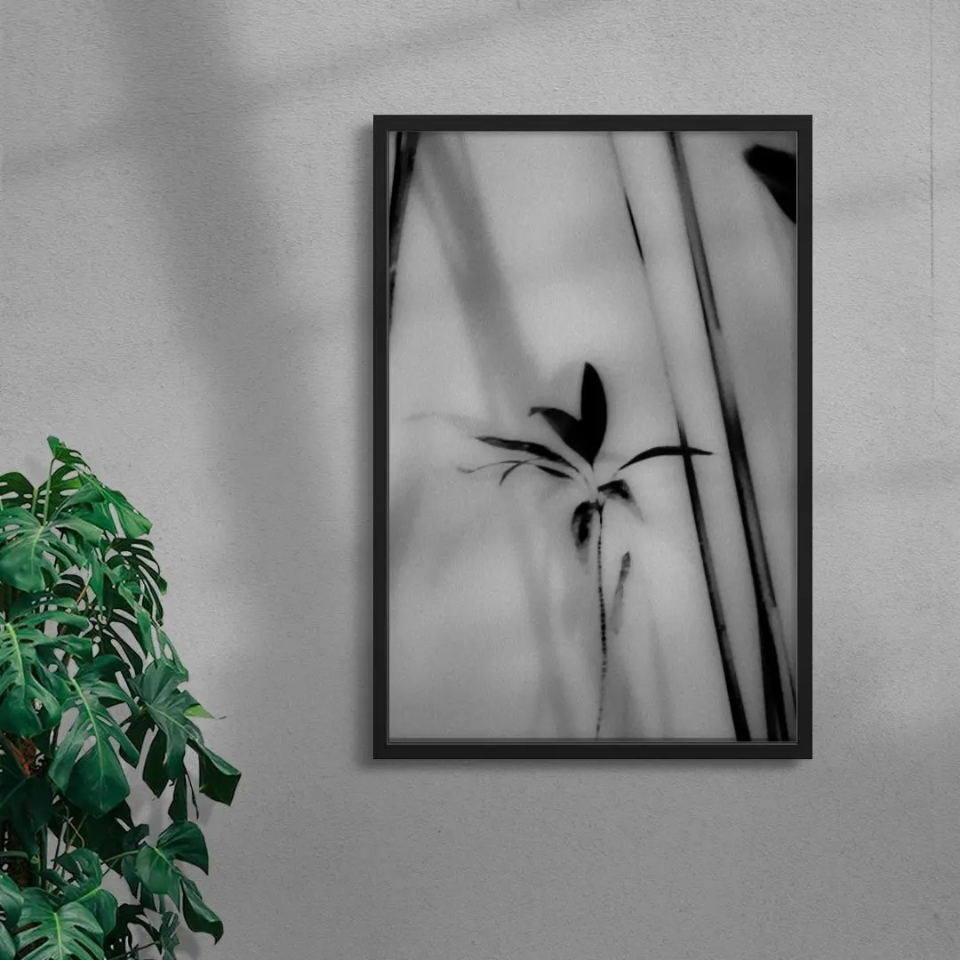 Silhouetted Plant