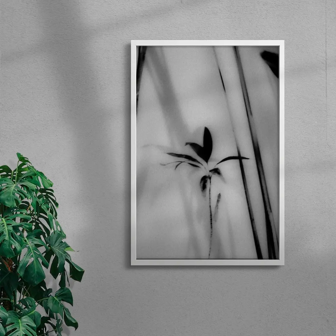Silhouetted Plant