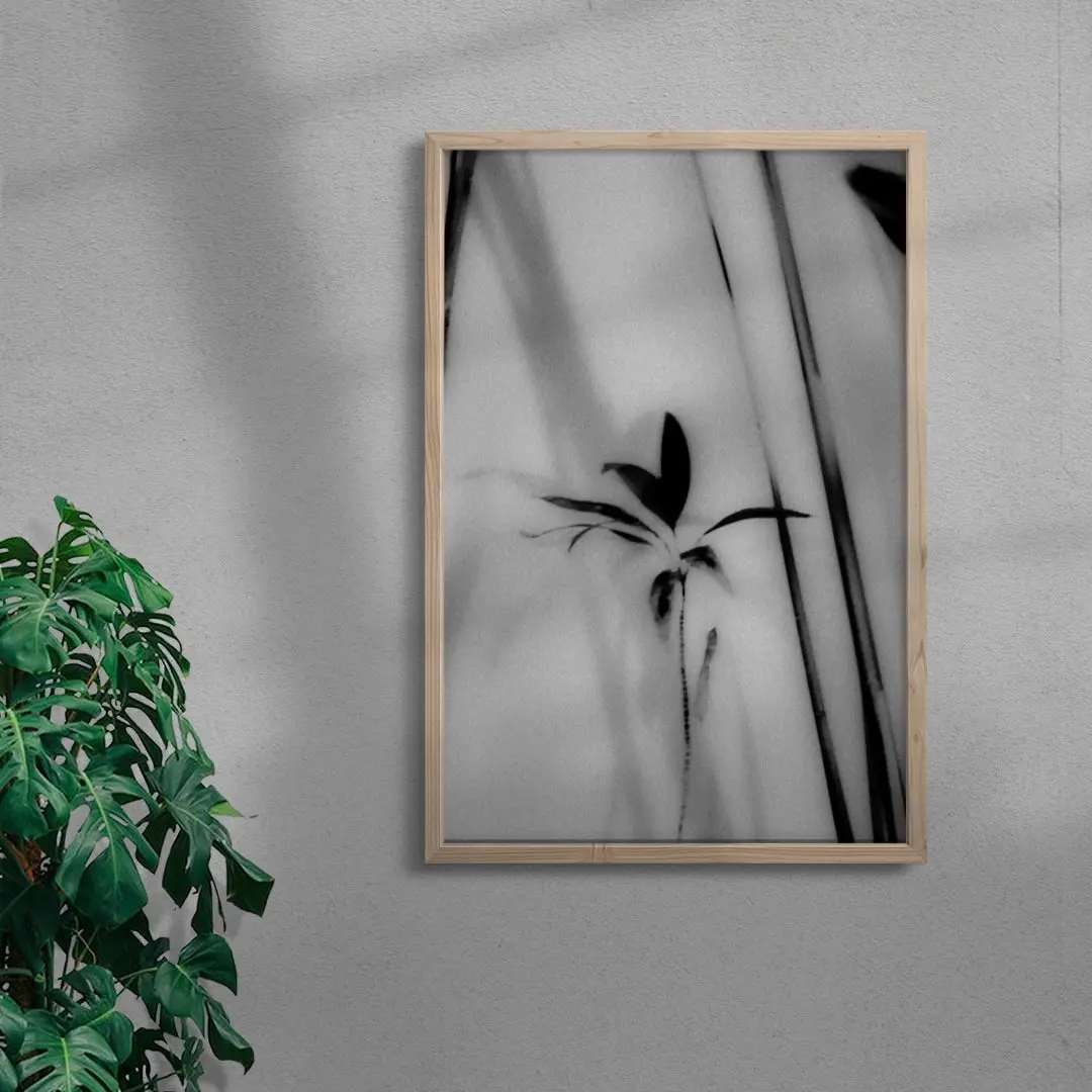 Silhouetted Plant