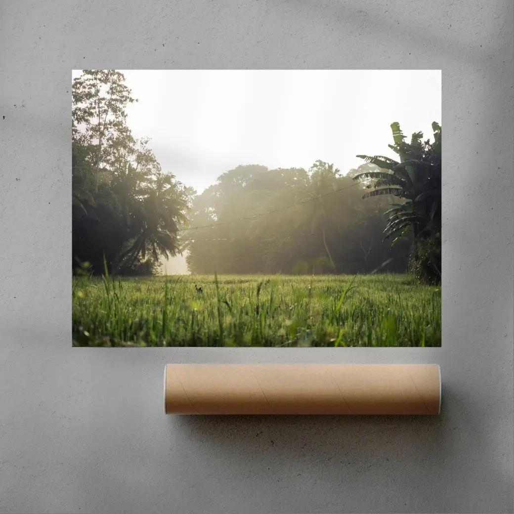 Morning in countryside