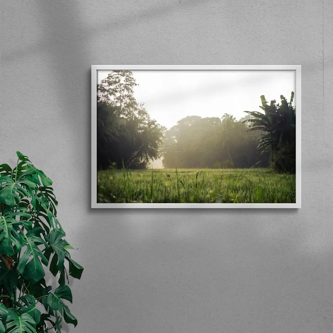 Morning in countryside