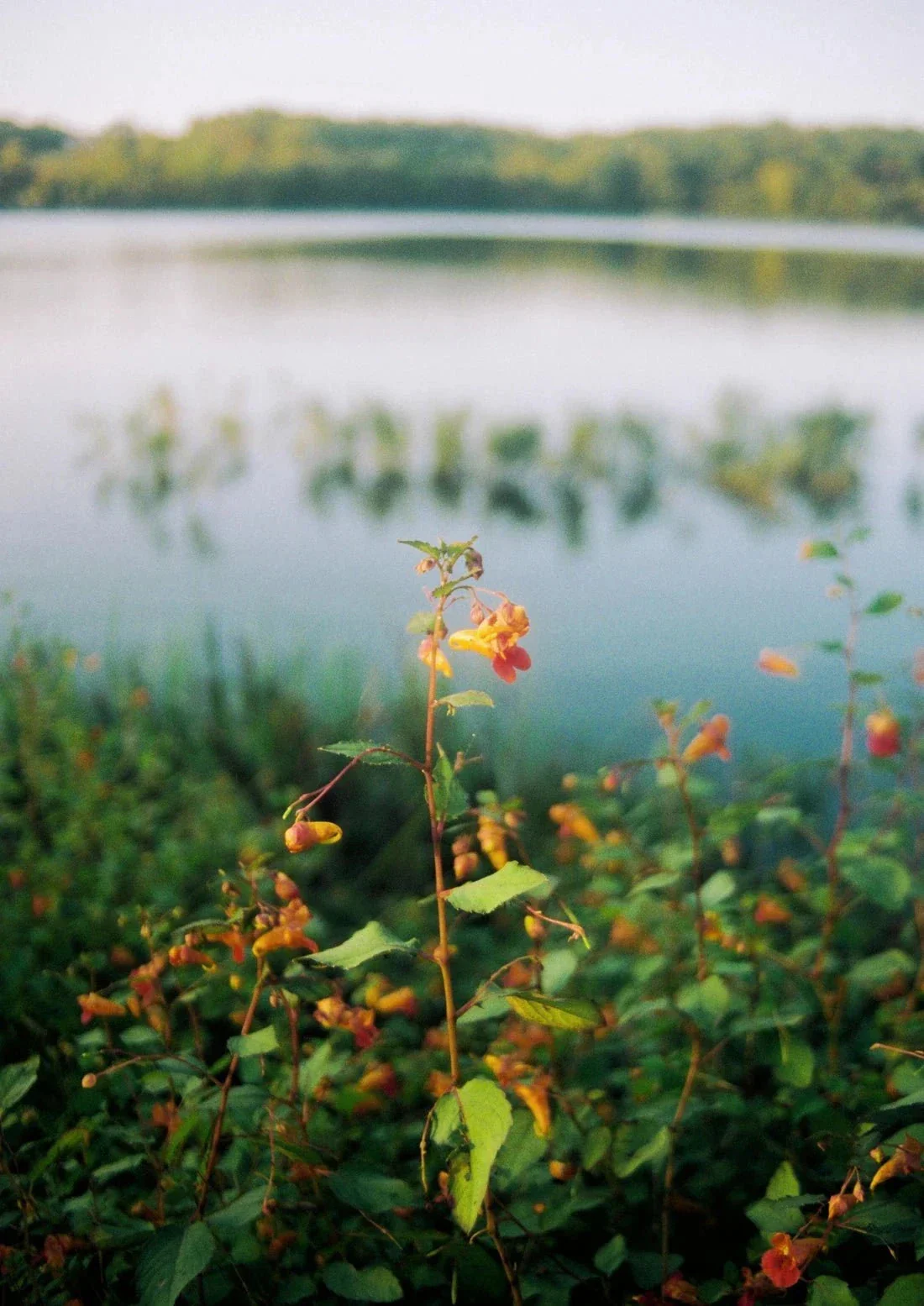Lake Siloam