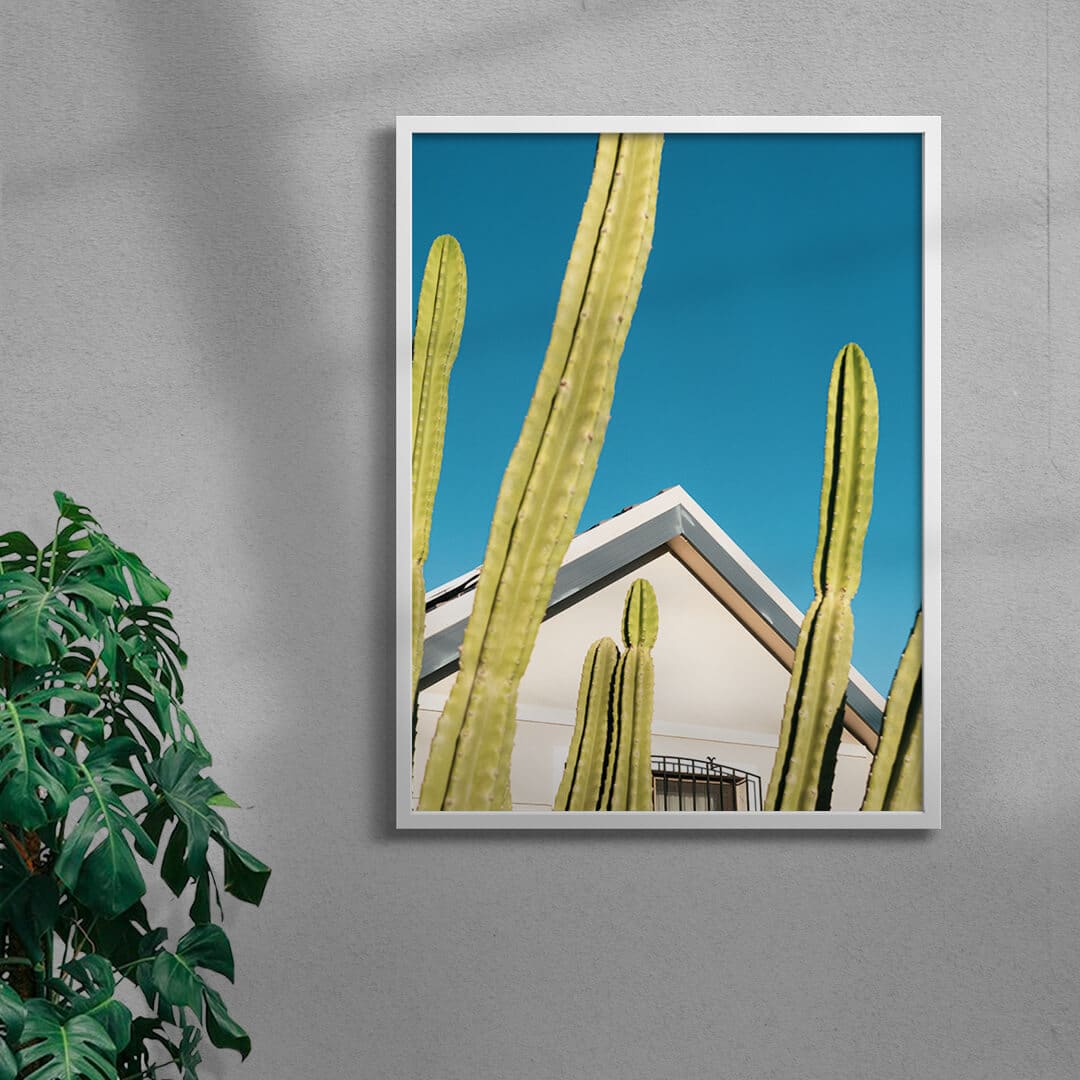 4599-among-the-cactus-4.jpg Among the cactus