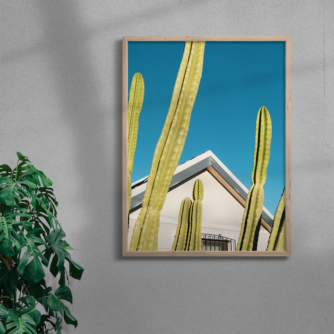 4599-among-the-cactus-5.jpg Among the cactus