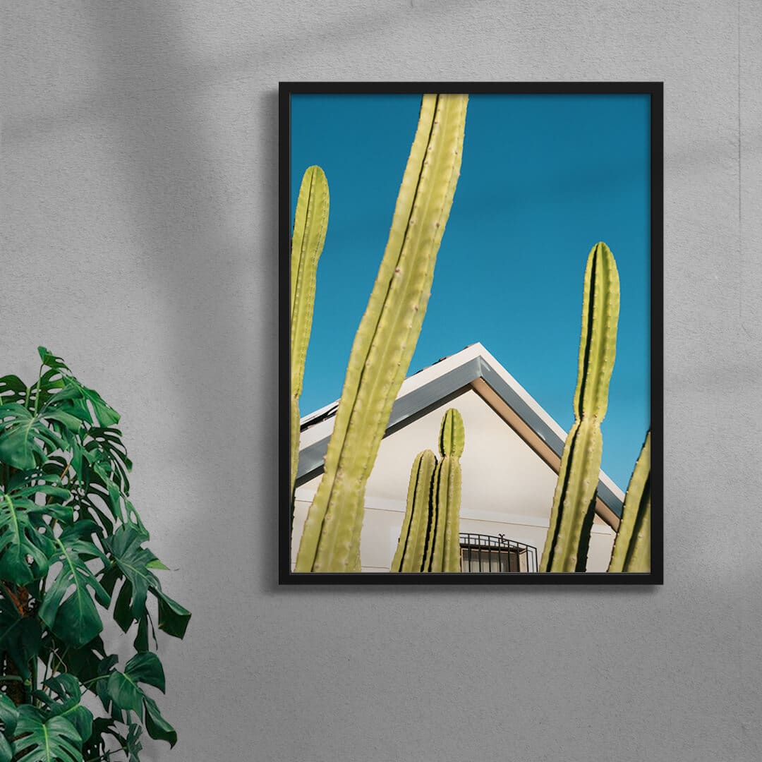 4599-among-the-cactus-6.jpg Among the cactus