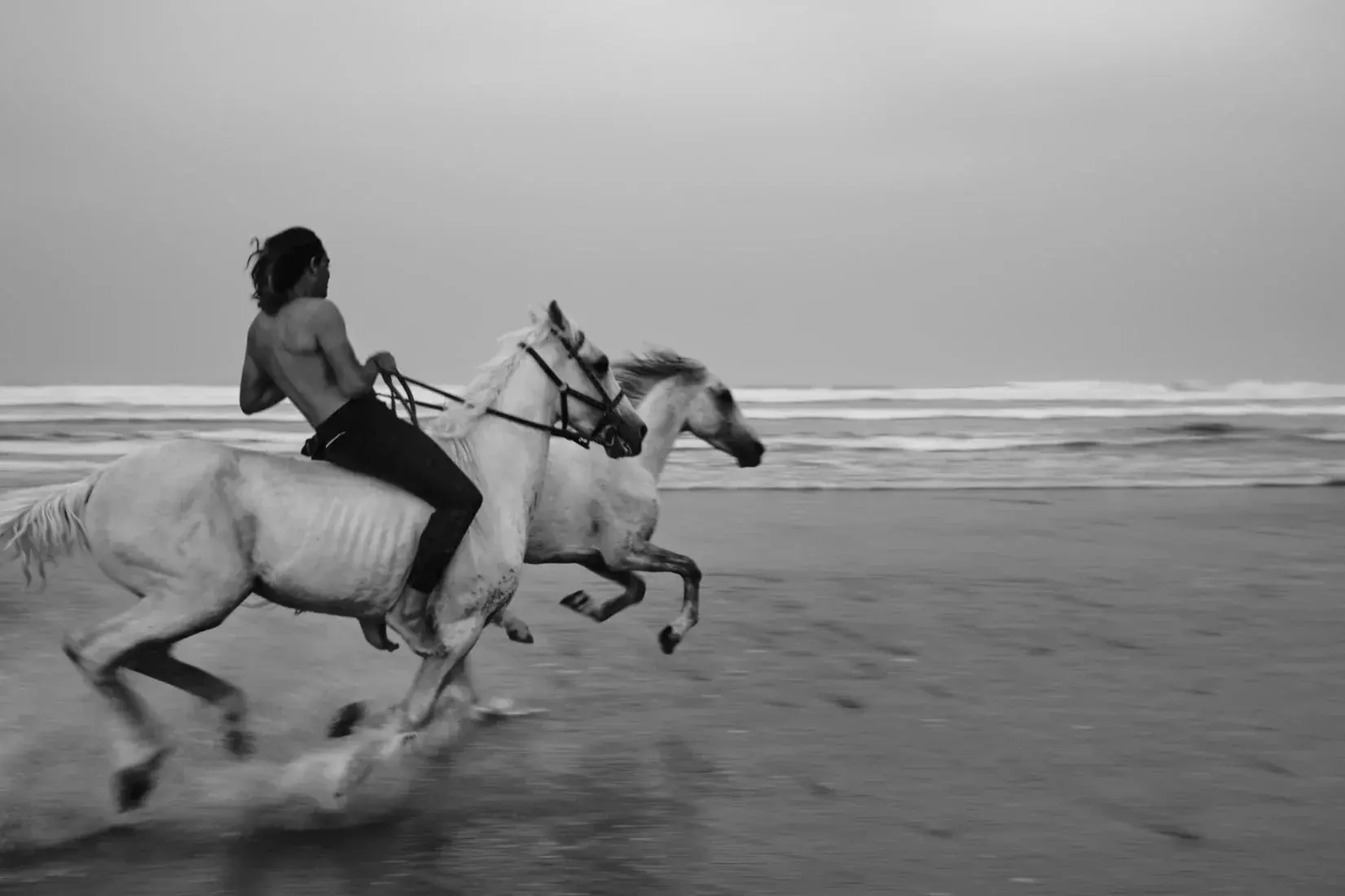 Beach Gallop