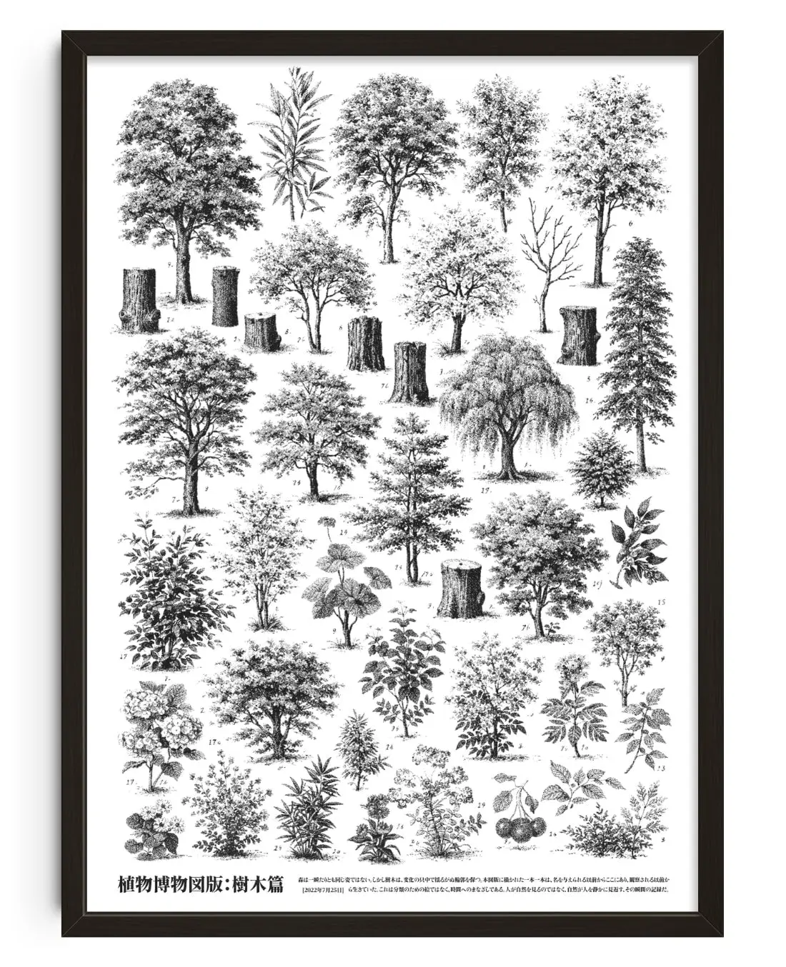 46343-whispers-of-the-woodland-1.webp Whispers of the Woodland