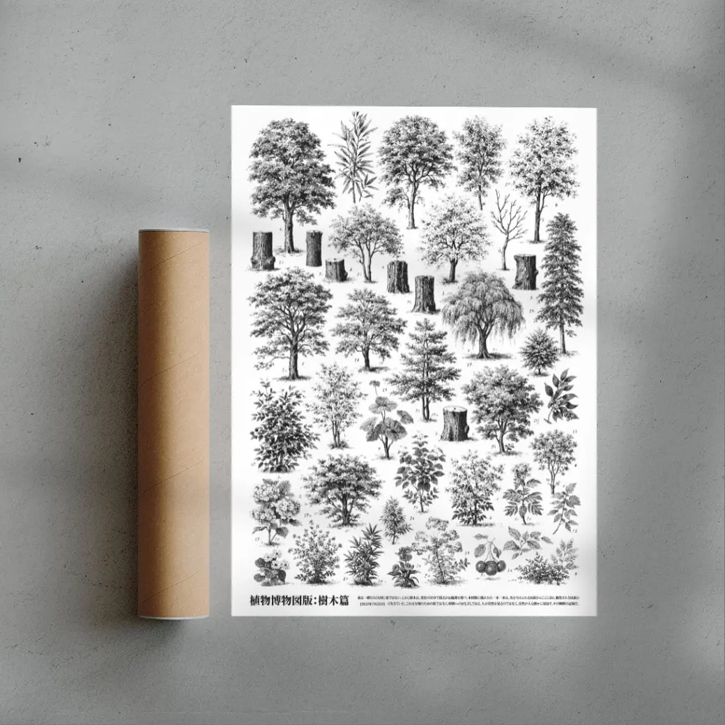 Whispers of the Woodland