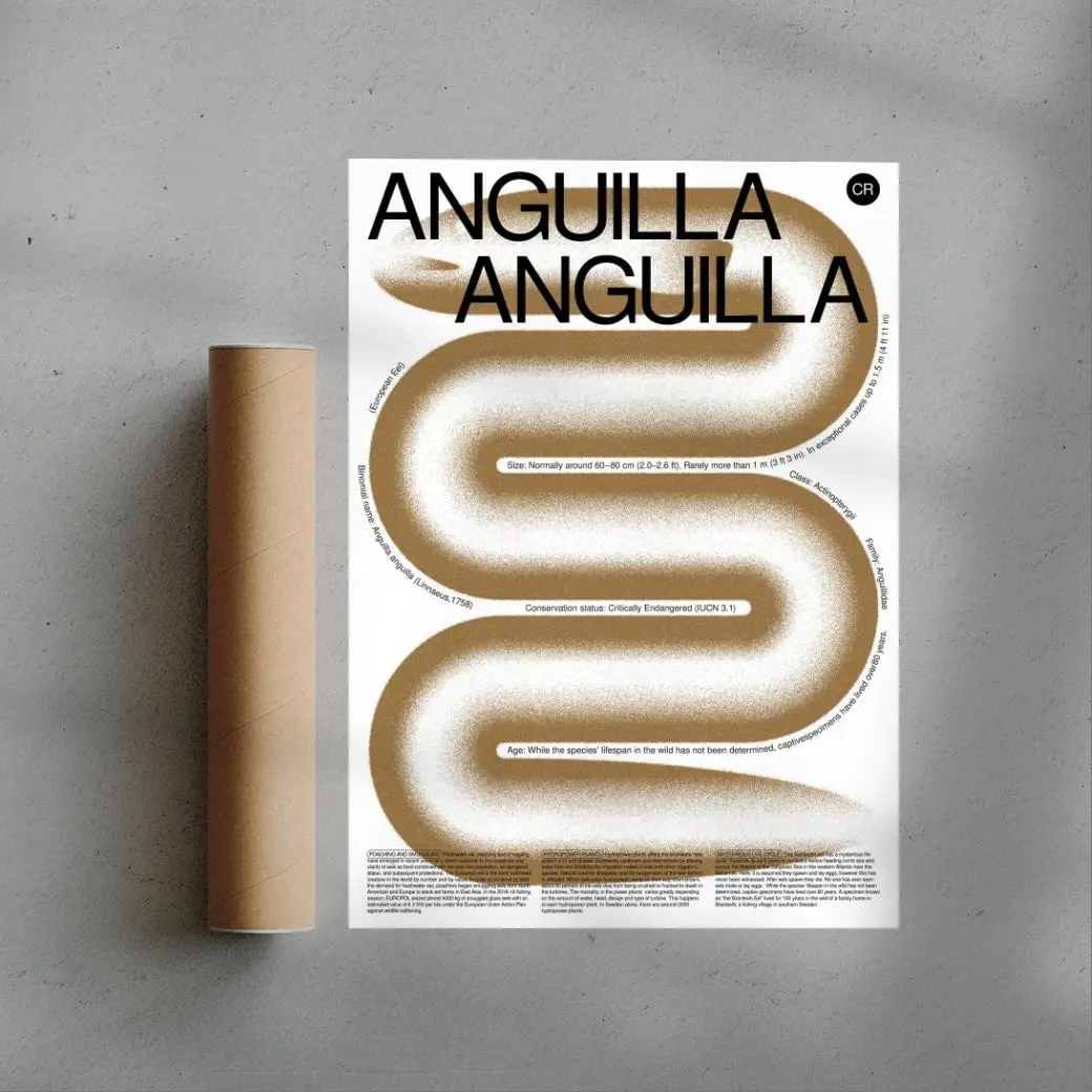 Anguilla