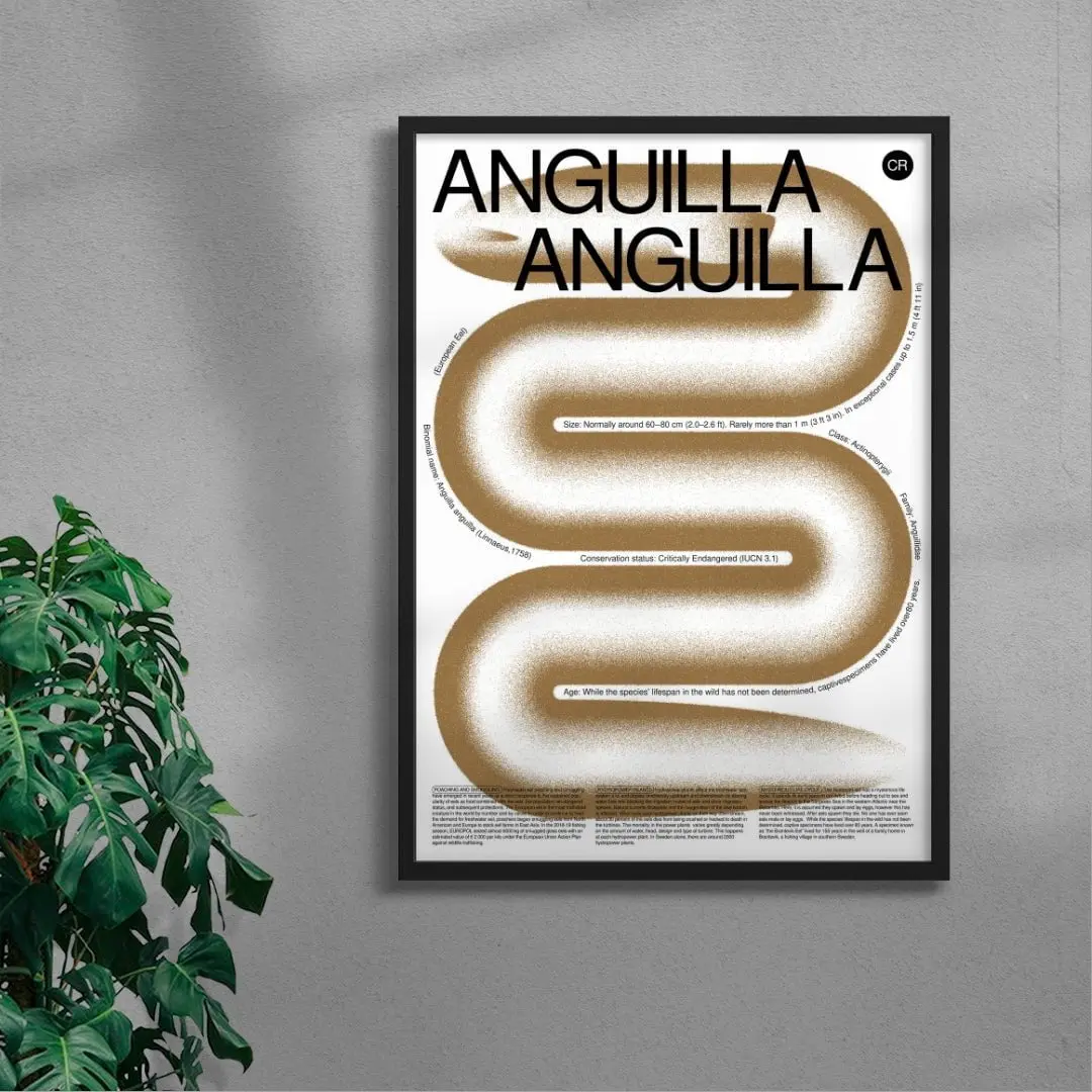 Anguilla