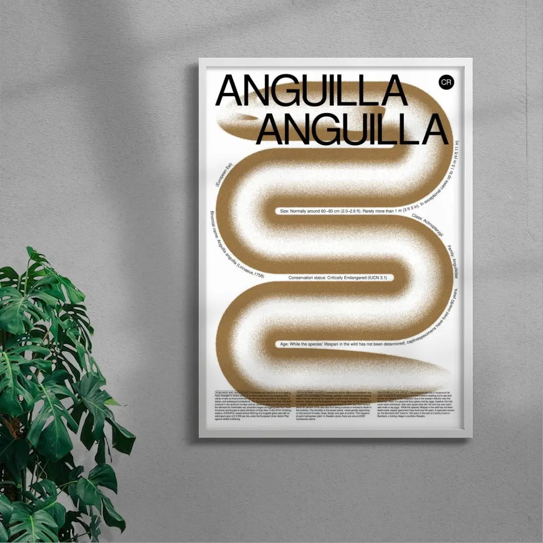 Anguilla