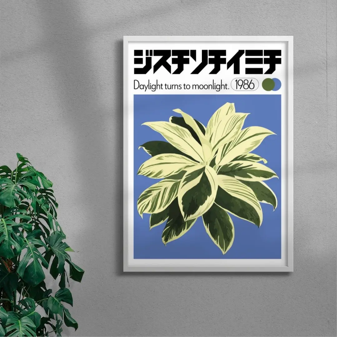 Dracaena