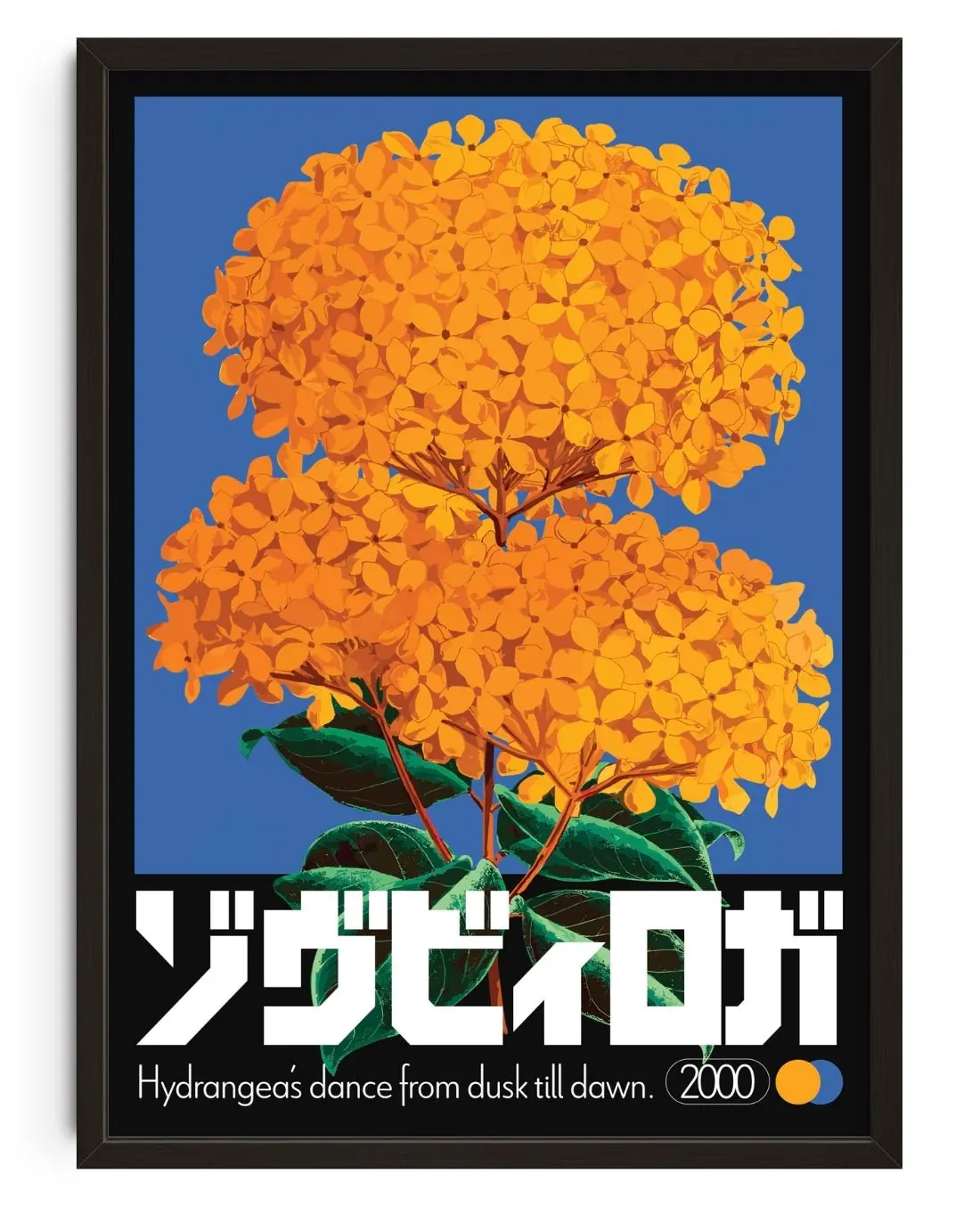 Hydrangea