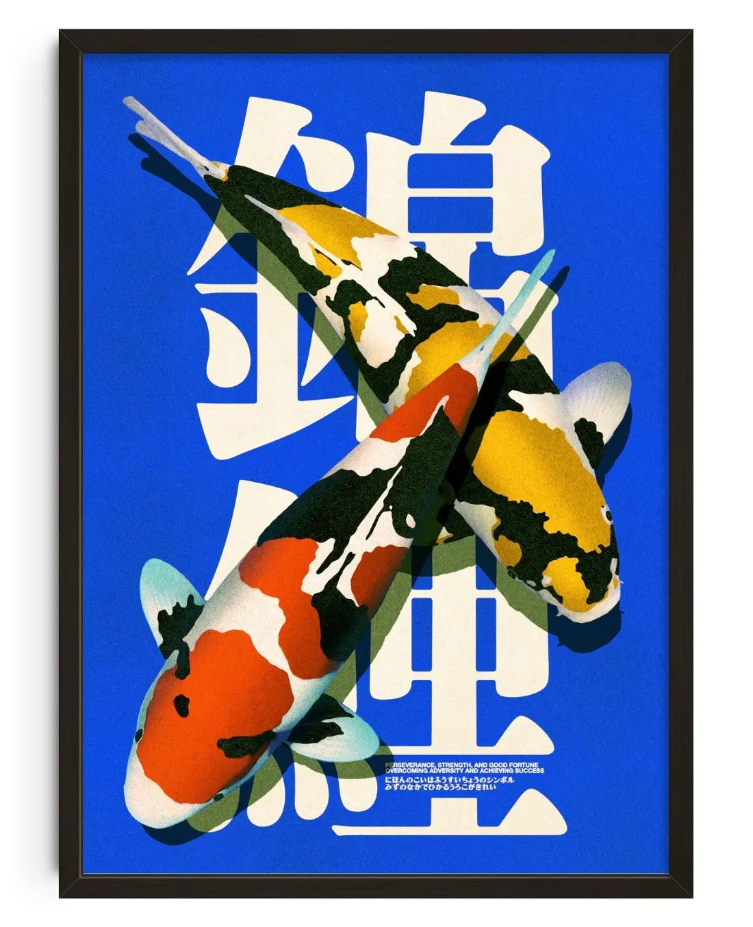 Nishikigoi 4