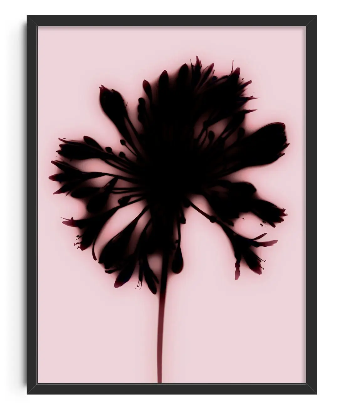 Blooming
