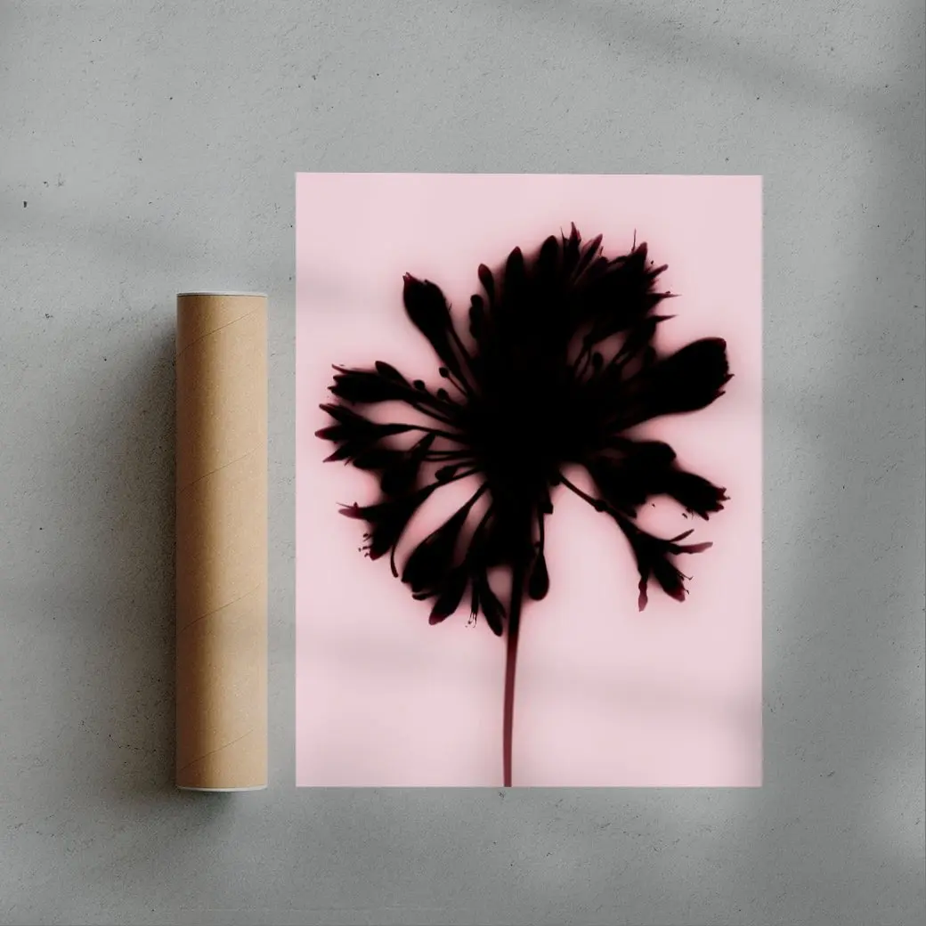 5050-blooming-3.webp Blooming