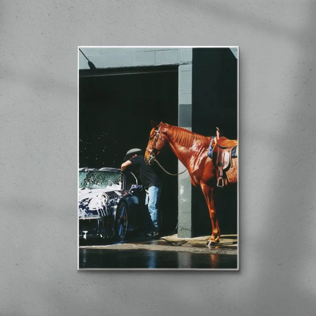 HORSEWASHING