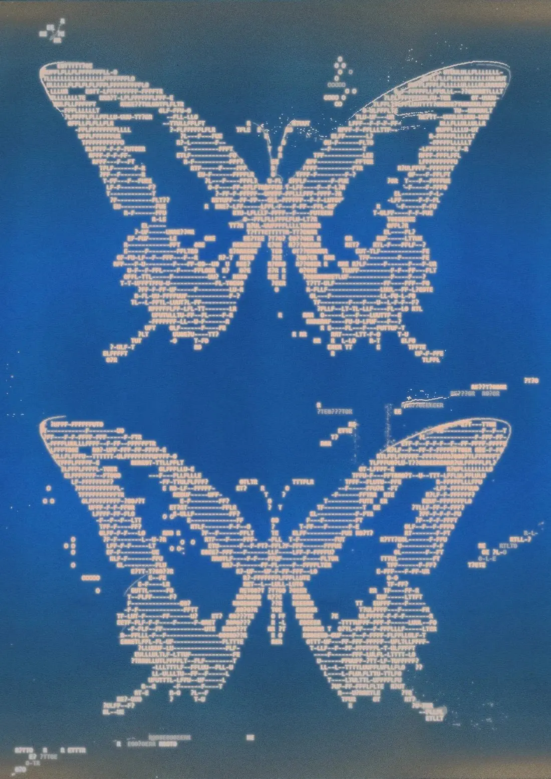 Flutter
