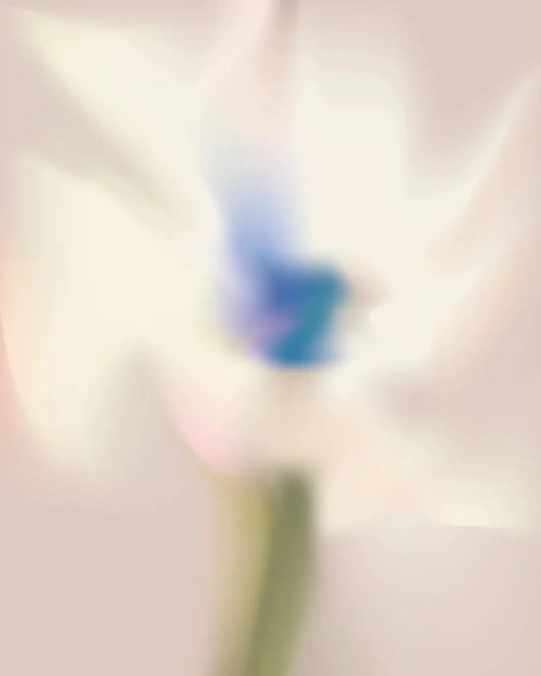 REV_WHITE FLOWER