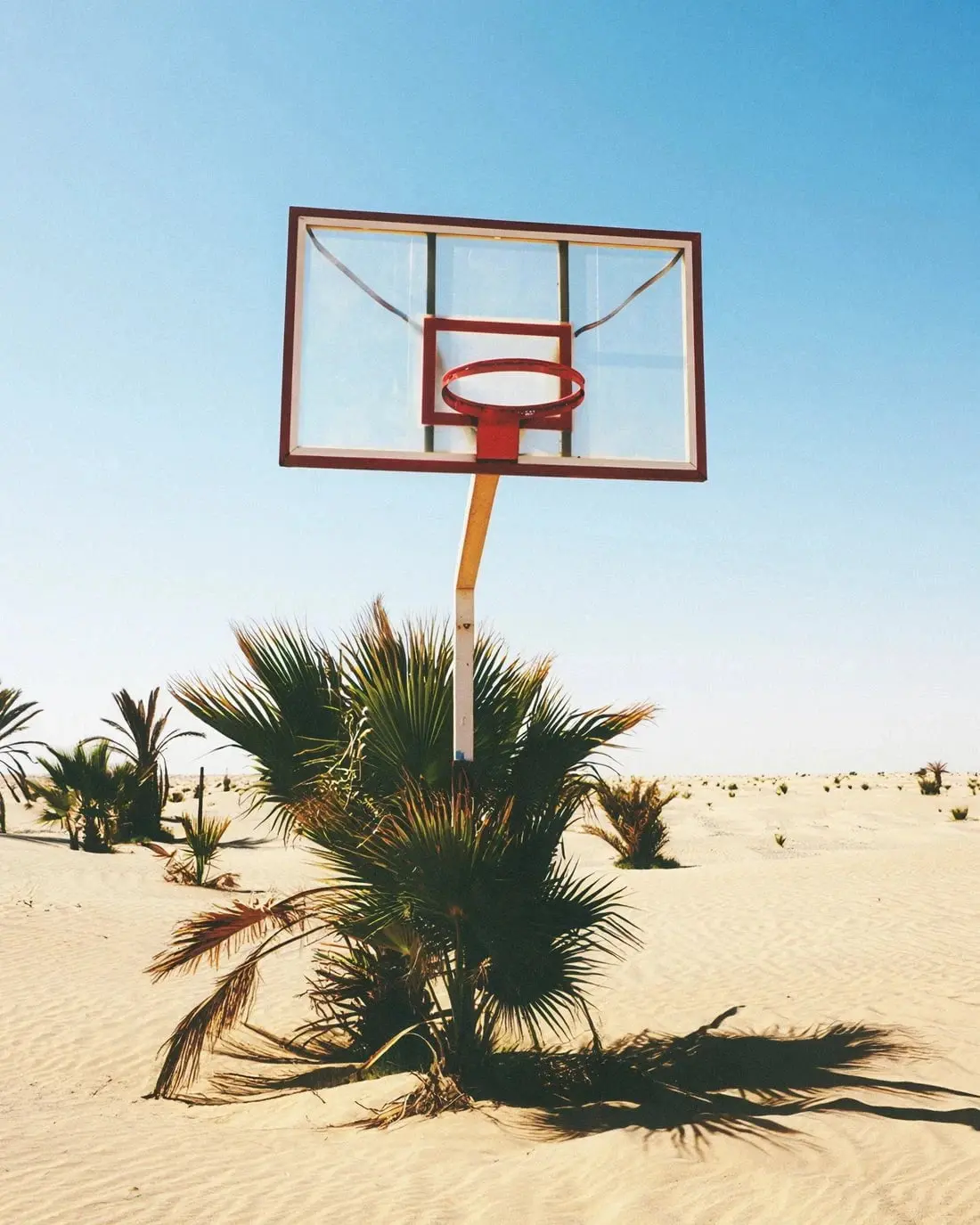 BALL IS LIFE