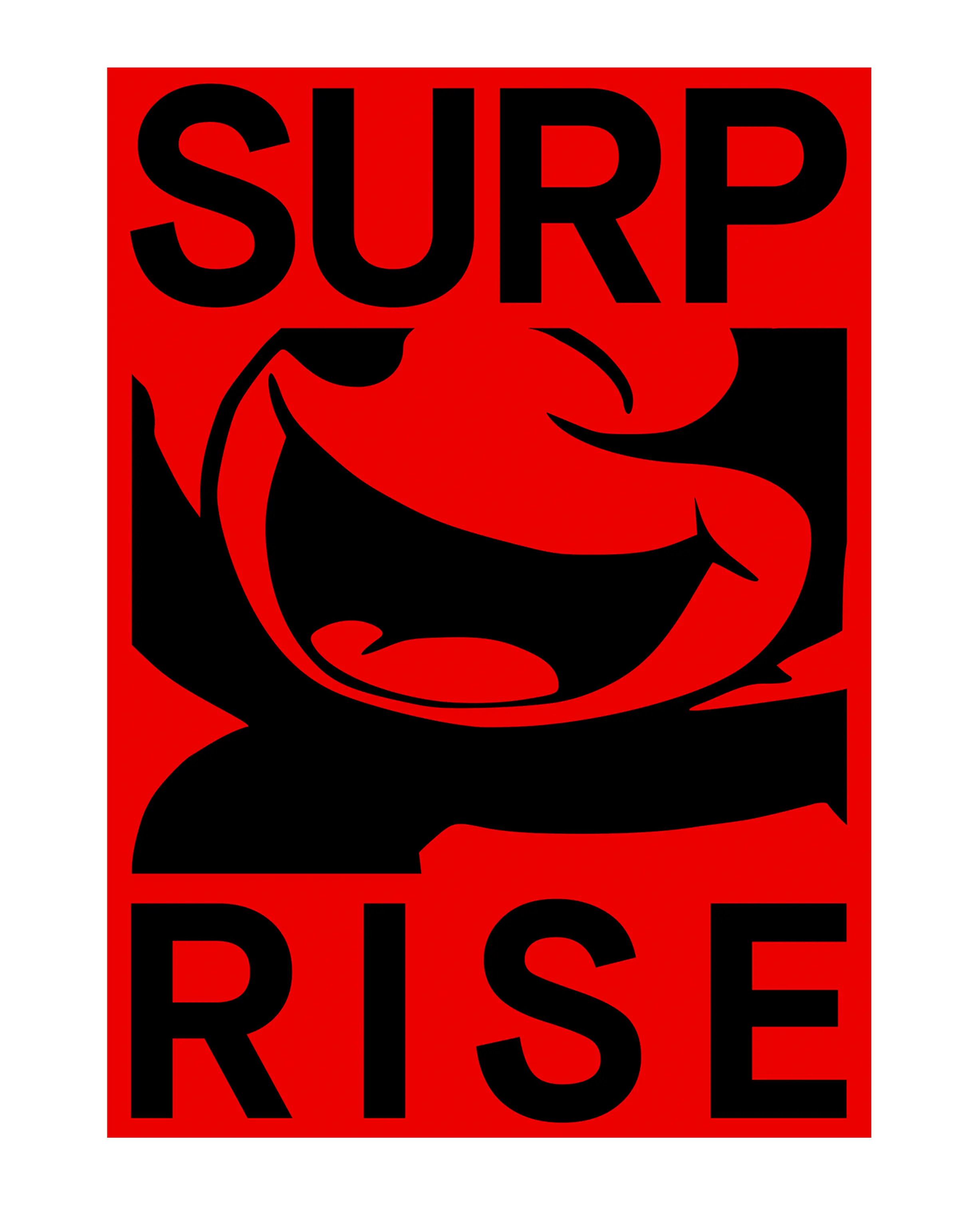 55103-surprise-1.webp Surprise