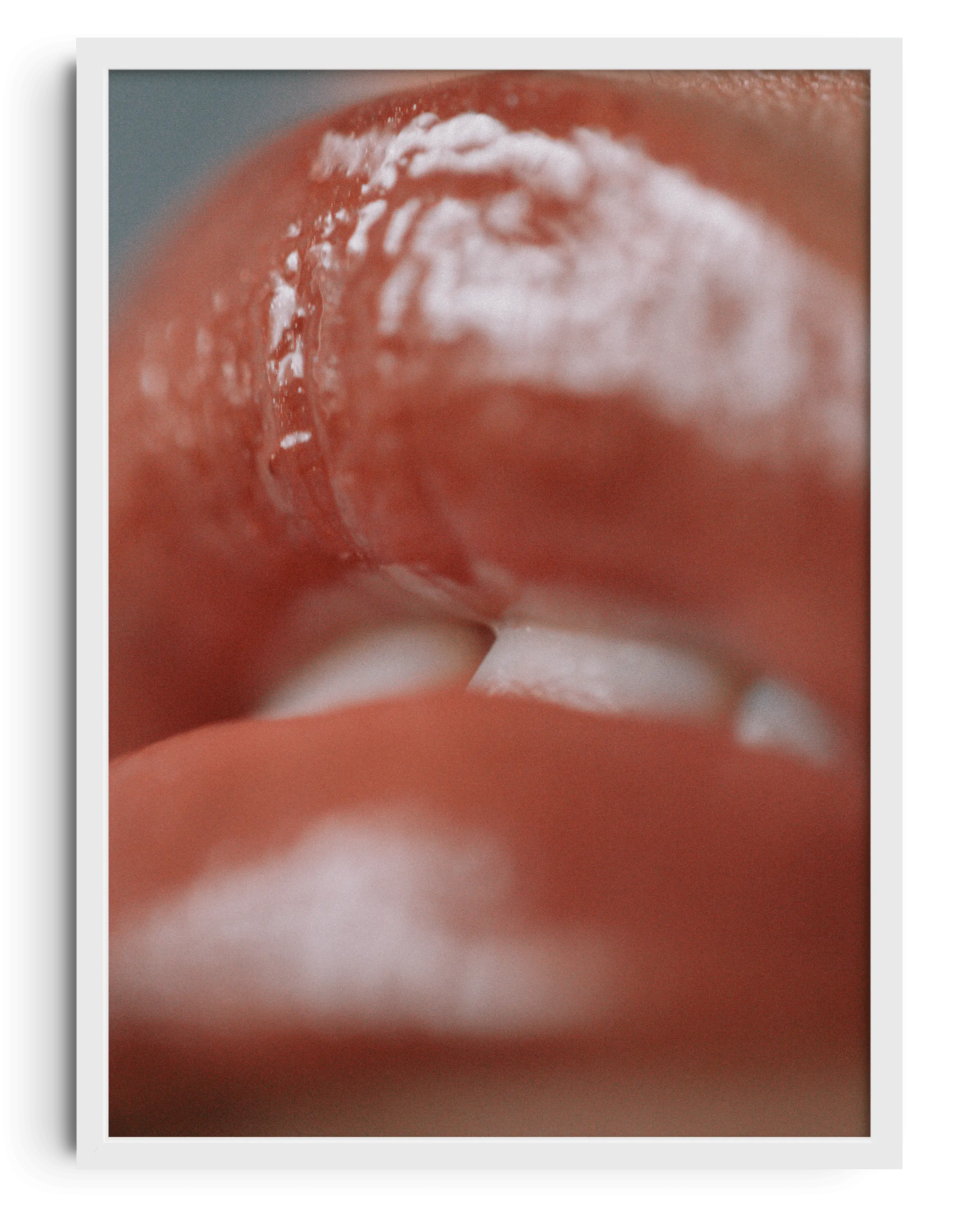 55170-juicy-6.webp JUICY
