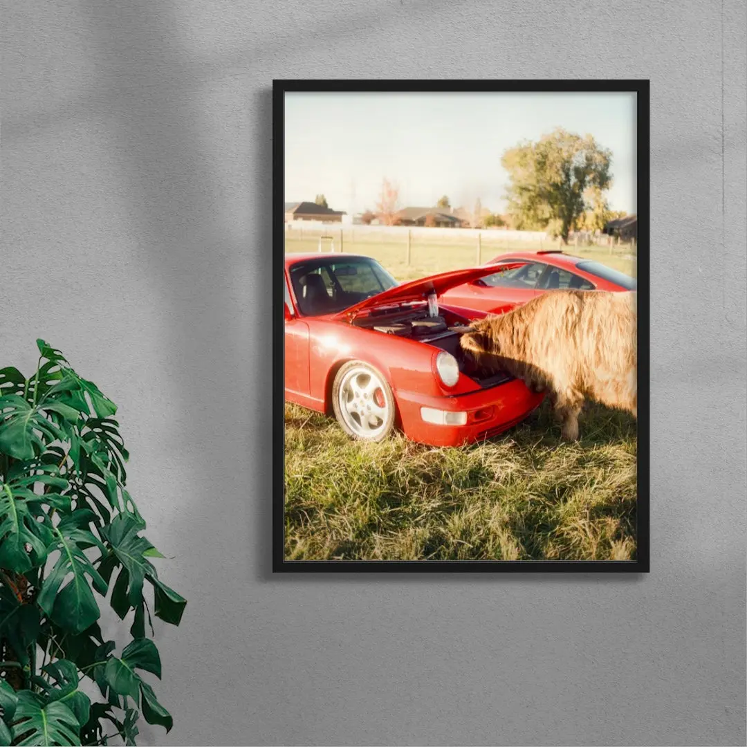 Cows and Cars
