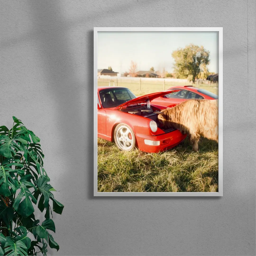 Cows and Cars